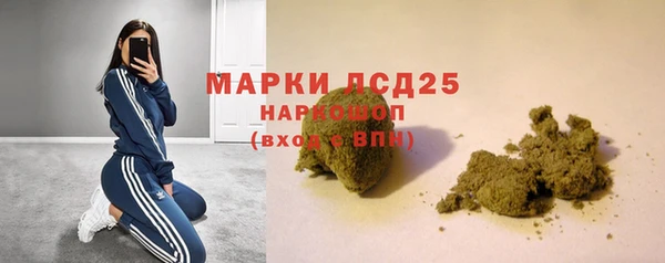 СК Волоколамск
