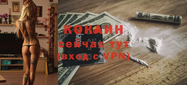 СК Волоколамск